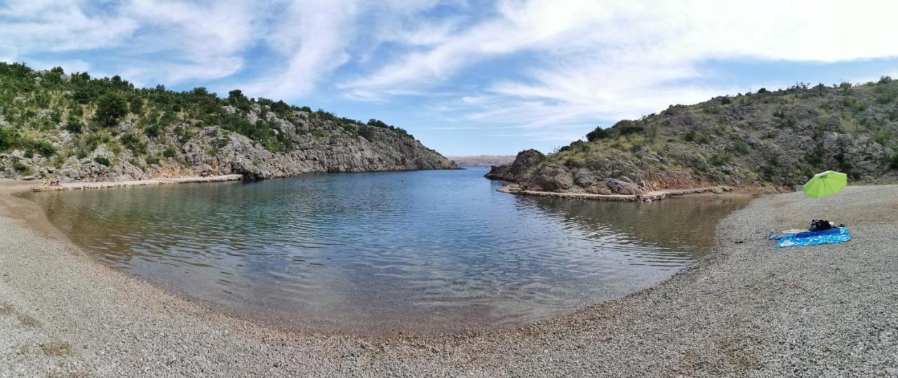Apartments Golub Cesarica Εξωτερικό φωτογραφία
