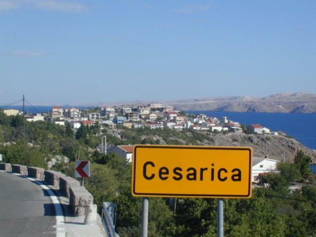 Apartments Golub Cesarica Εξωτερικό φωτογραφία