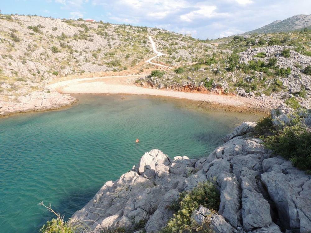 Apartments Golub Cesarica Εξωτερικό φωτογραφία