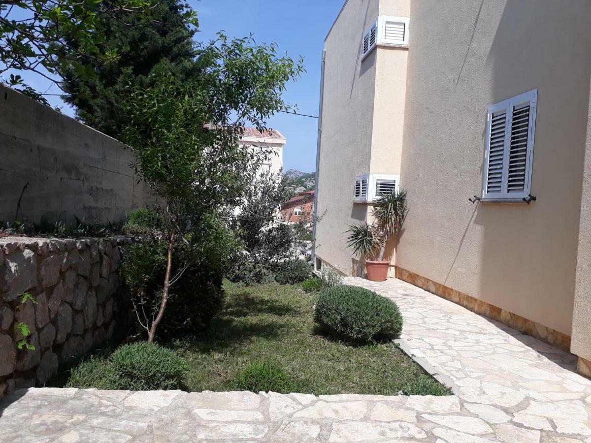 Apartments Golub Cesarica Εξωτερικό φωτογραφία