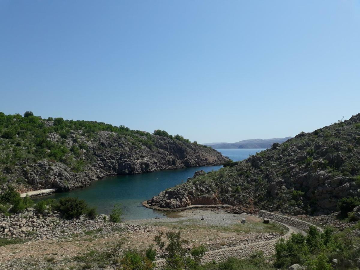 Apartments Golub Cesarica Εξωτερικό φωτογραφία